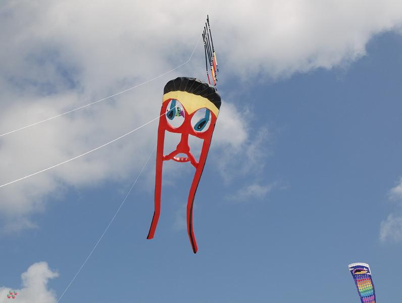 Fanø 2009 69.jpg